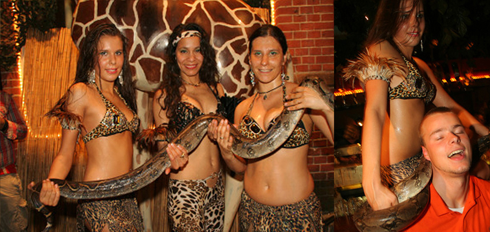 African jungle show